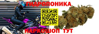 Альфа ПВП Берёзовский