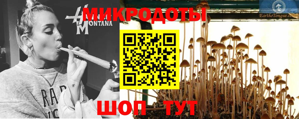 Псилоцибиновые грибы прущие грибы Кинель